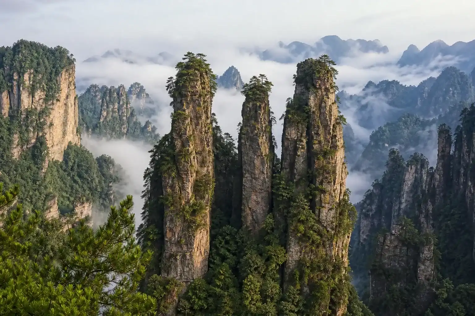 Quartz sandstone pillars rising through morning mist in Wulingyuan, Zhangjiajie