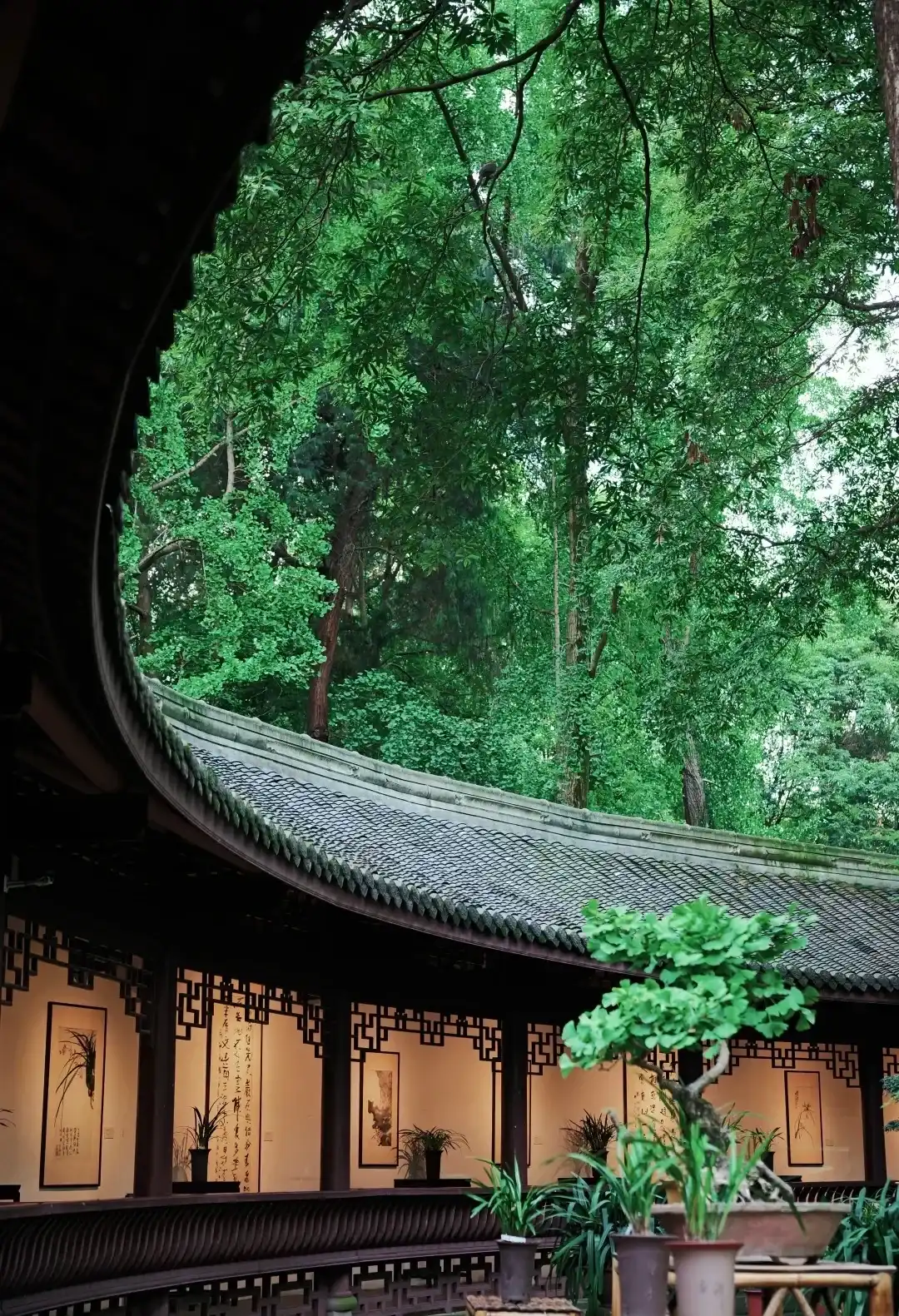 Traditional courtyard shaded by trees at Du Fu Thatched Cottage