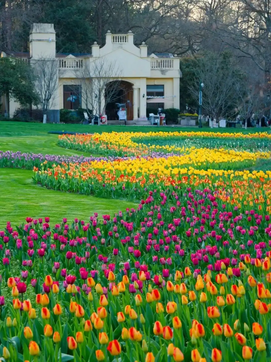 Spring lawns, tulip beds, and a white building in Prince Bay Park