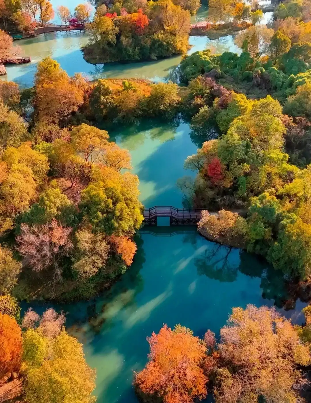 An aerial view of autumn waterways, woods, and bridges at Xixi Wetland