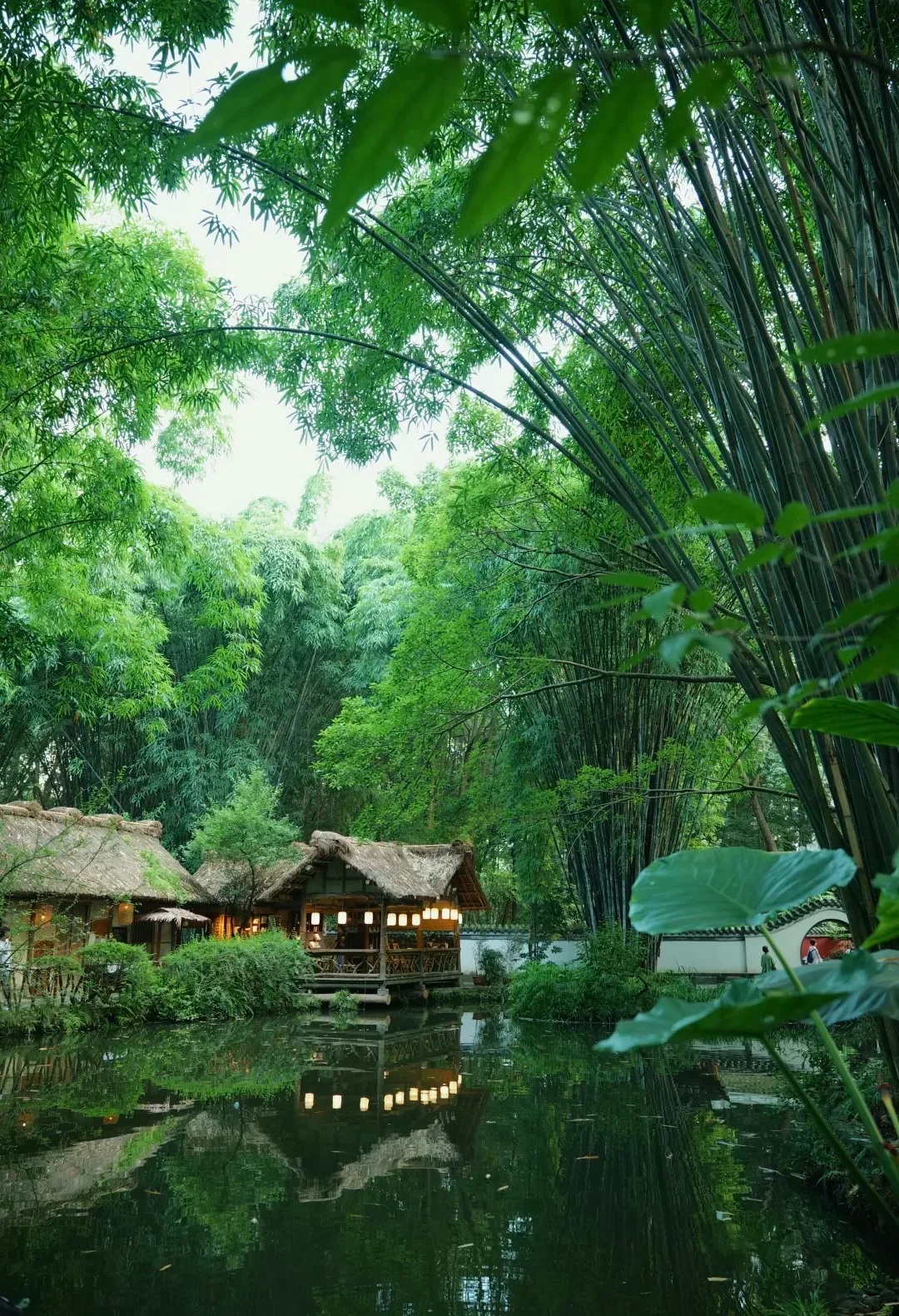 Reconstructed cottage beside a pond and bamboo