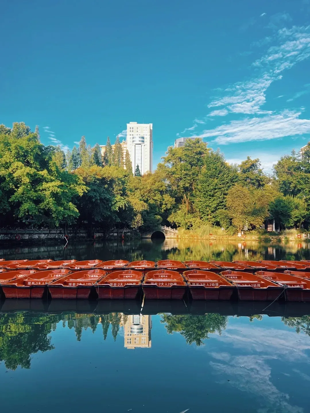 Red pleasure boat on the lake