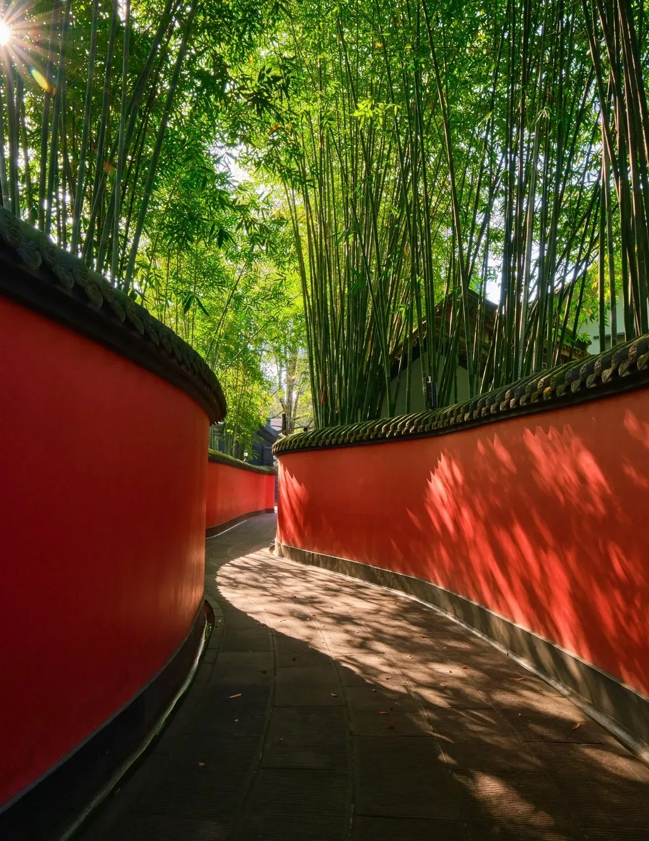 Red-walled passage beside bamboo at Wuhou Shrine