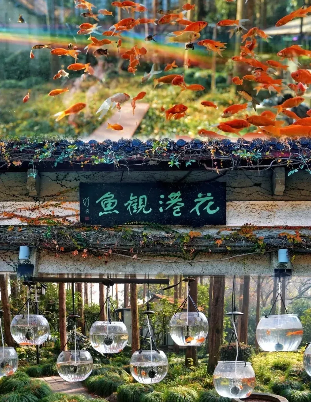 A collage of fish, calligraphy, and garden displays at Viewing Fish at Flower Harbor