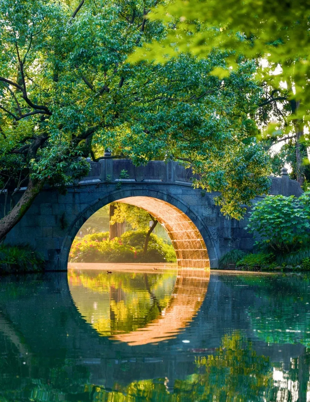 Water, a stone arch bridge, and trees at Quyuan Garden