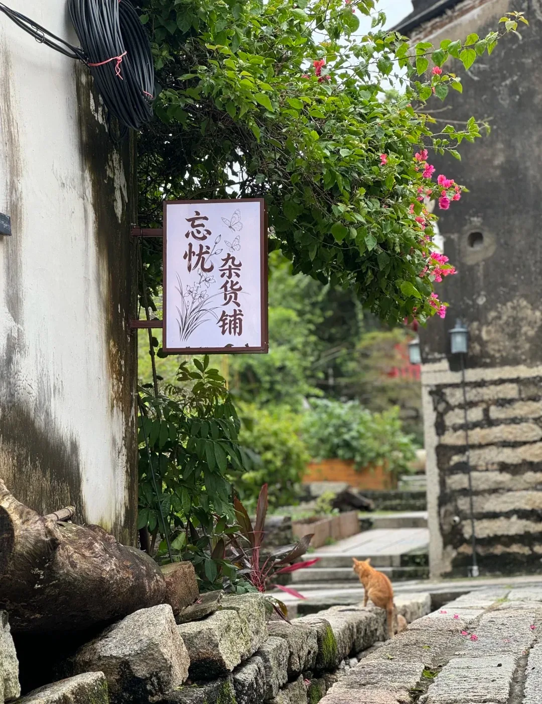 Lane and flowers beside the fortress wall