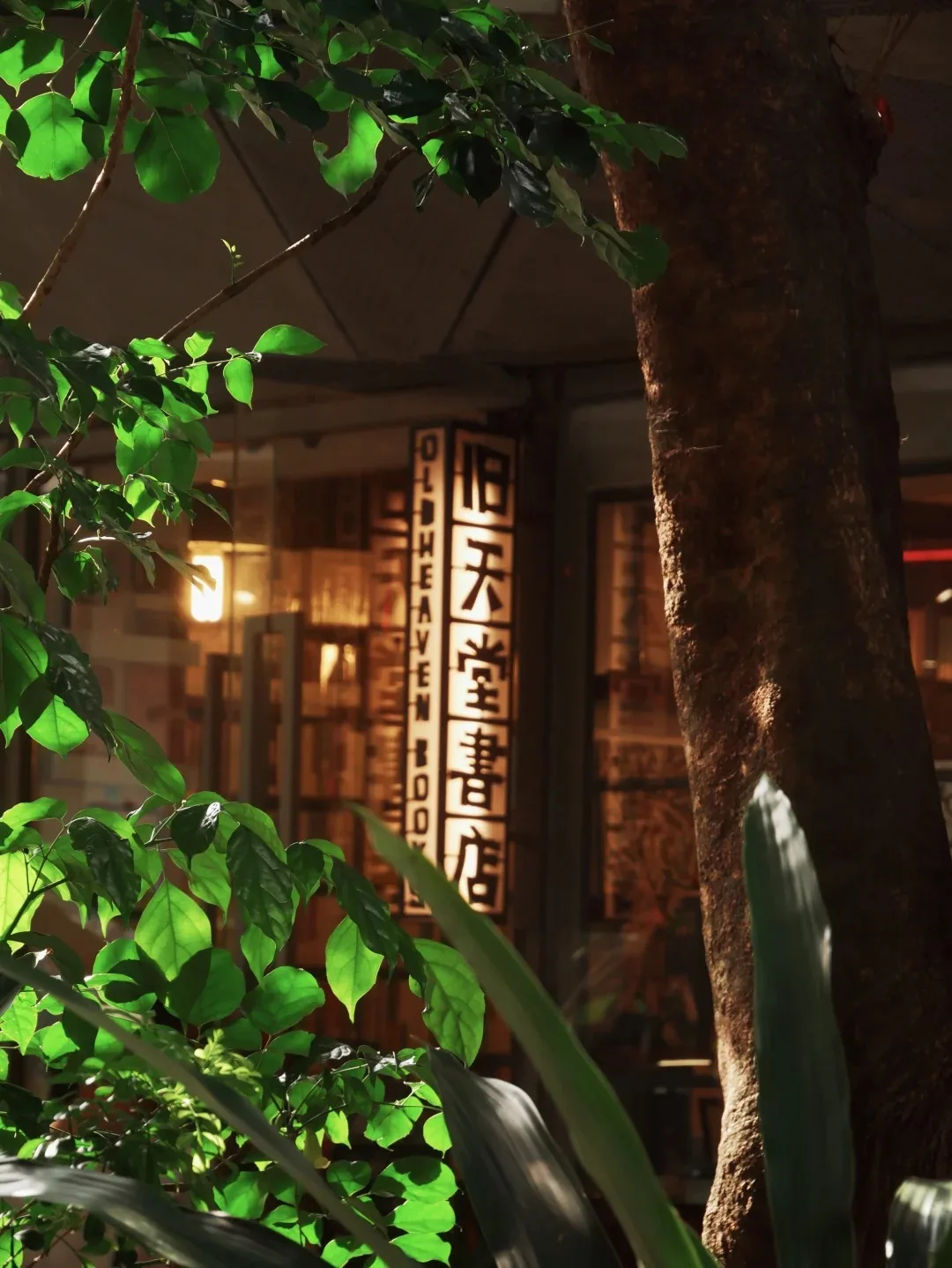 Old Heaven Books exterior
