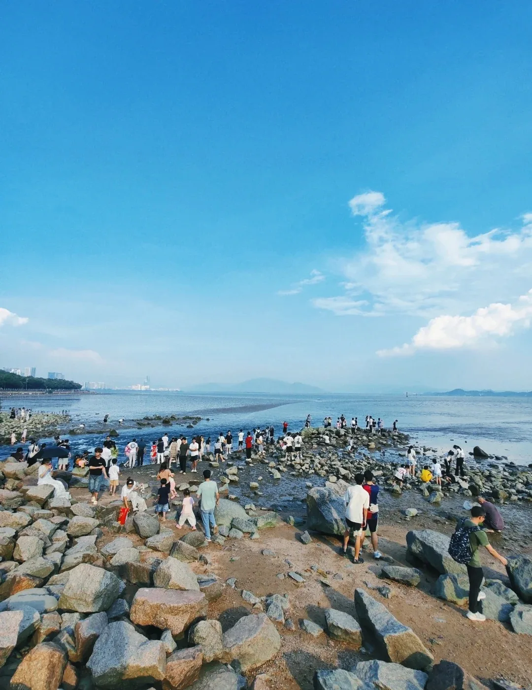 Rocks and tidal flats exposed at low tide