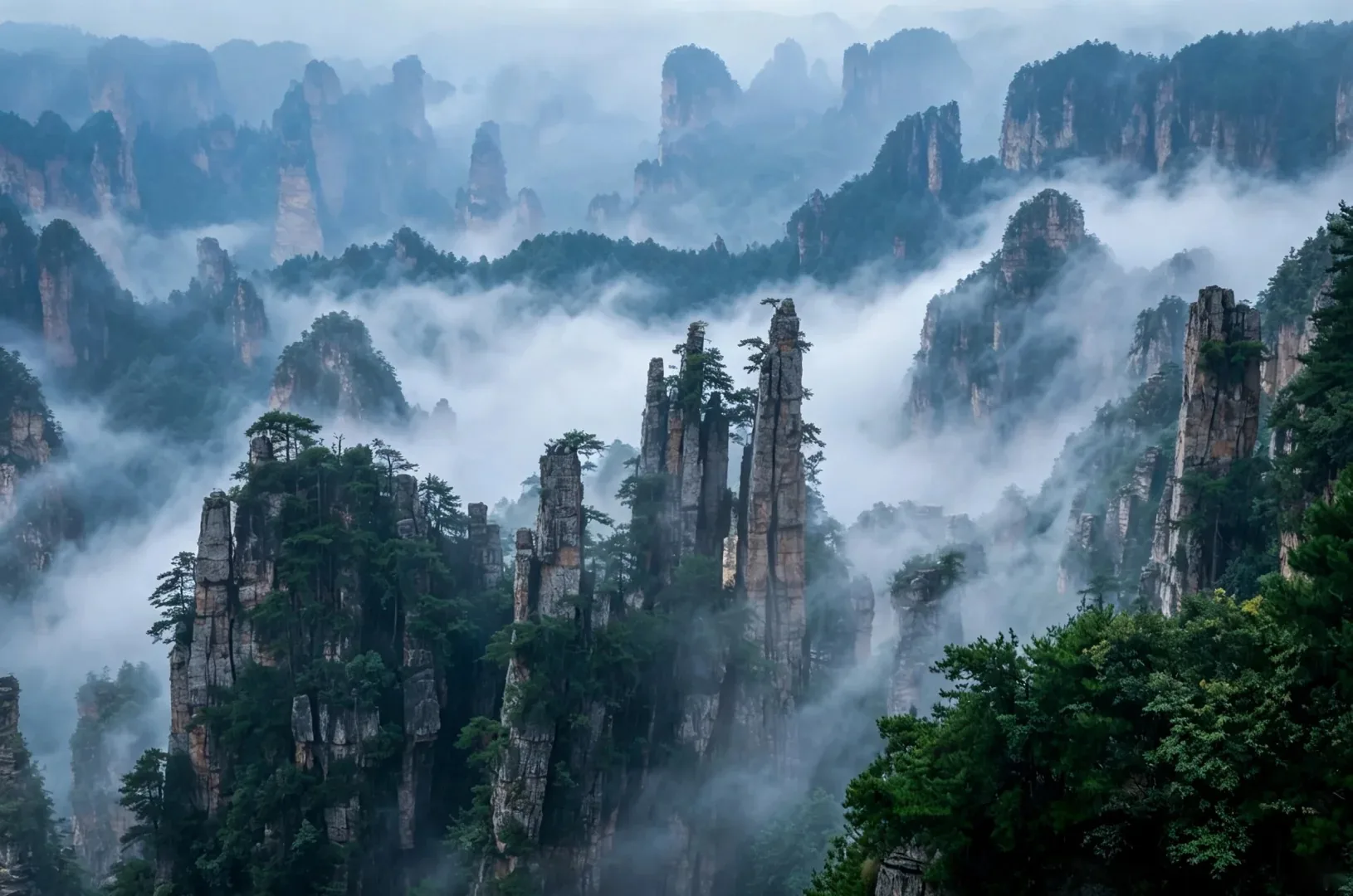 A panorama of Zhangjiajie's peaks above a sea of cloud