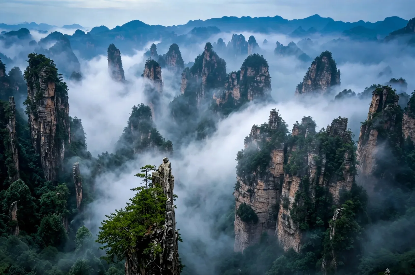 Mist moving through the pillar forest