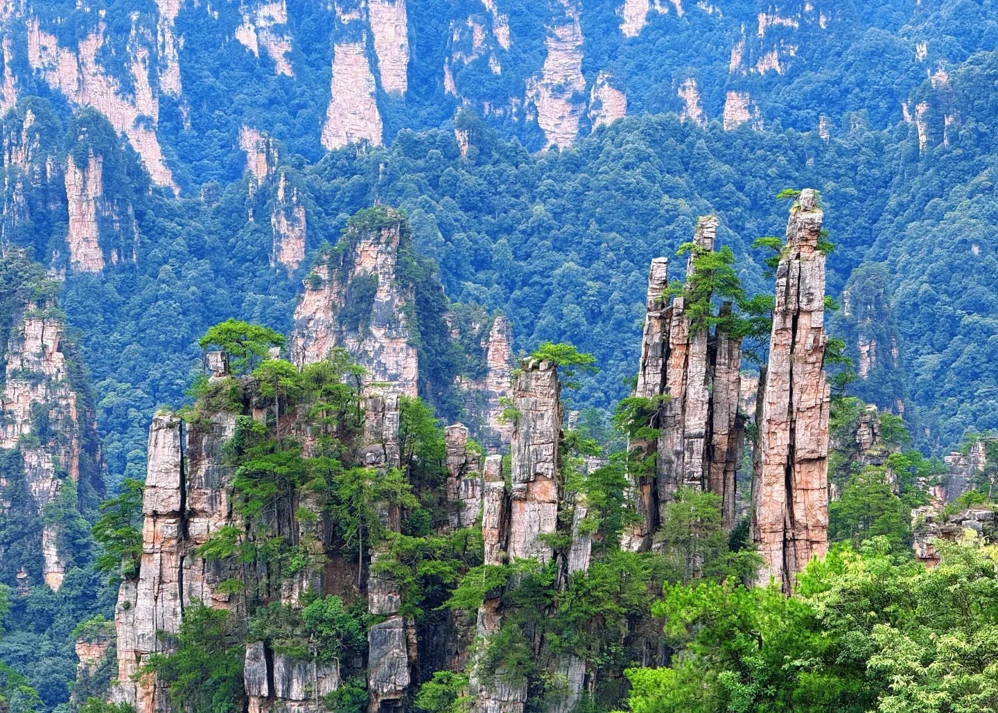 Groups of forested pillars rising from a deep ravine
