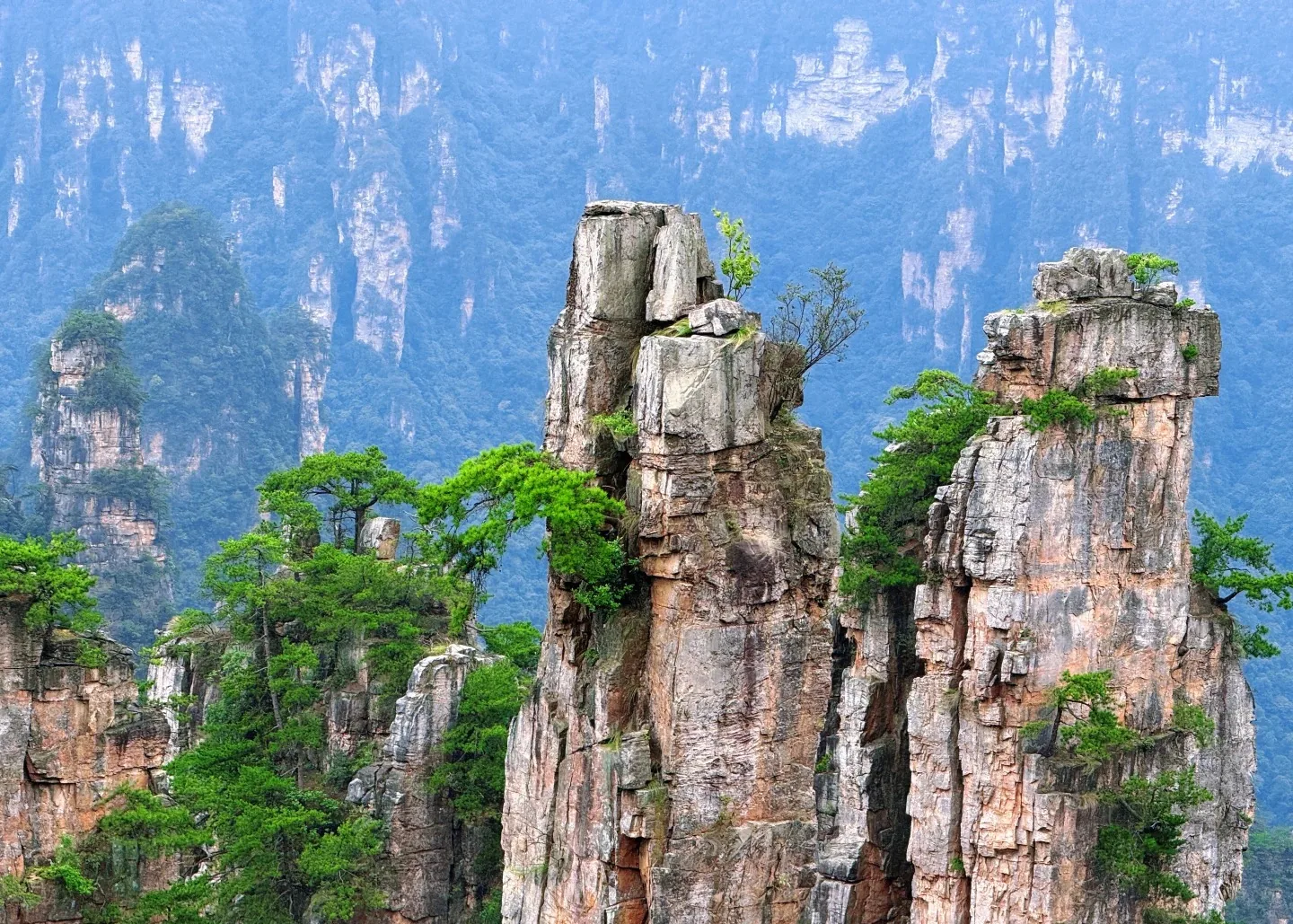 A sandstone pillar with visible layers and summit pines