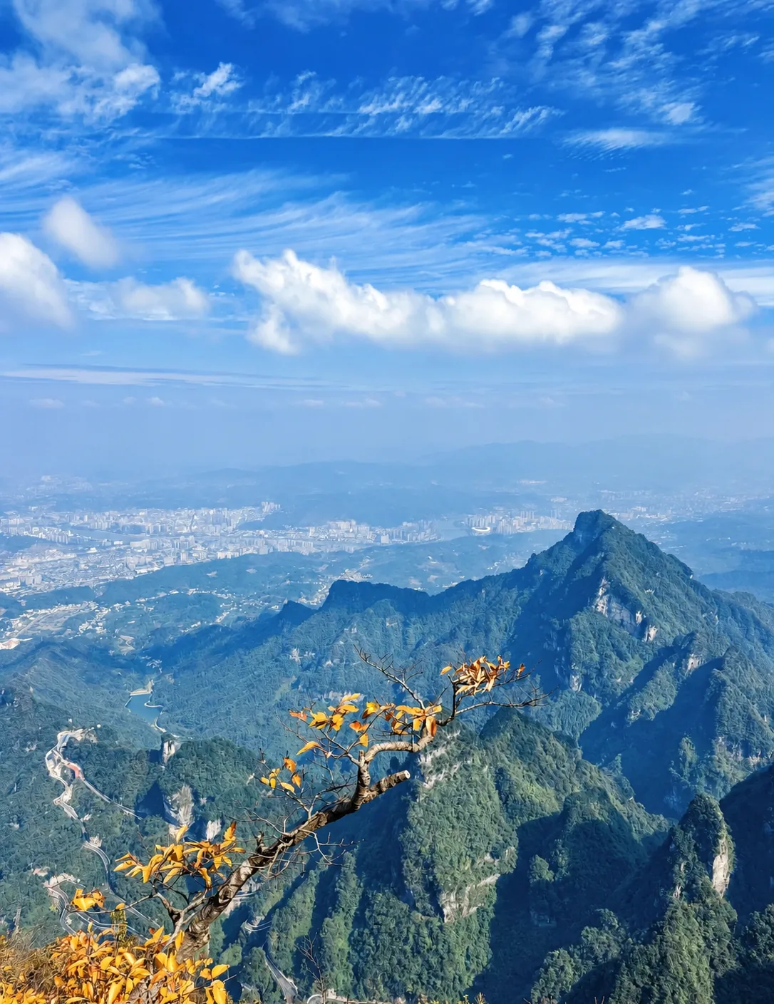 Ridges and distant valleys from a summit viewpoint
